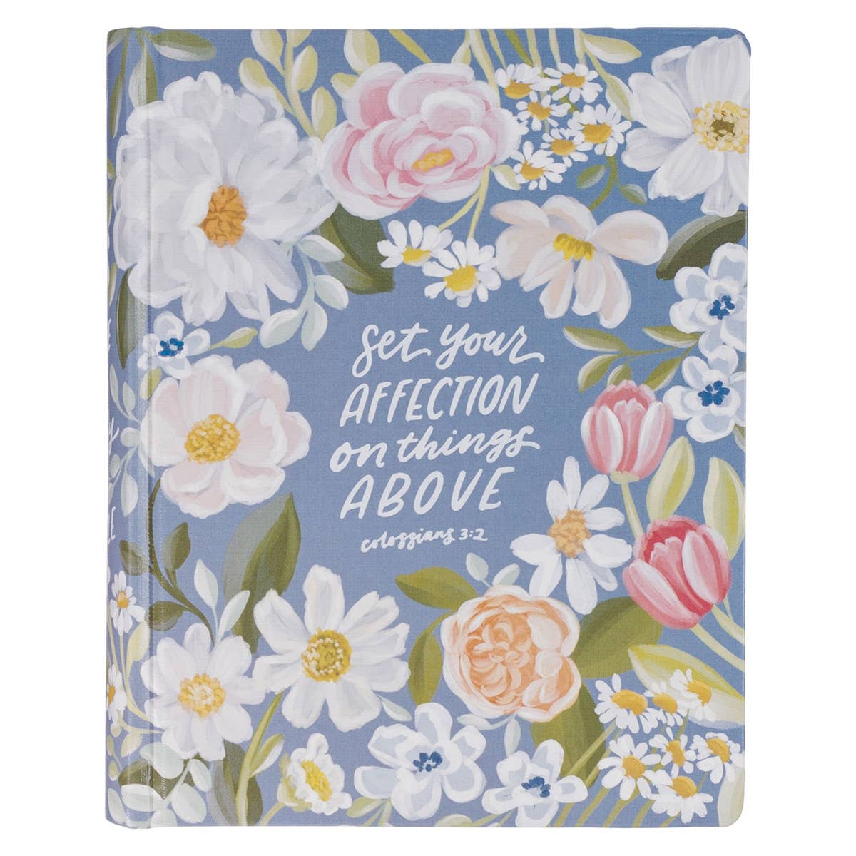 Bibles
