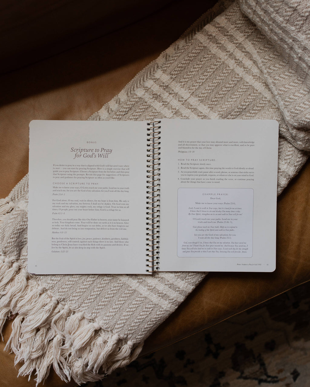 Abide: Growing Closer to Christ Every Day — 4-Week Bible Study