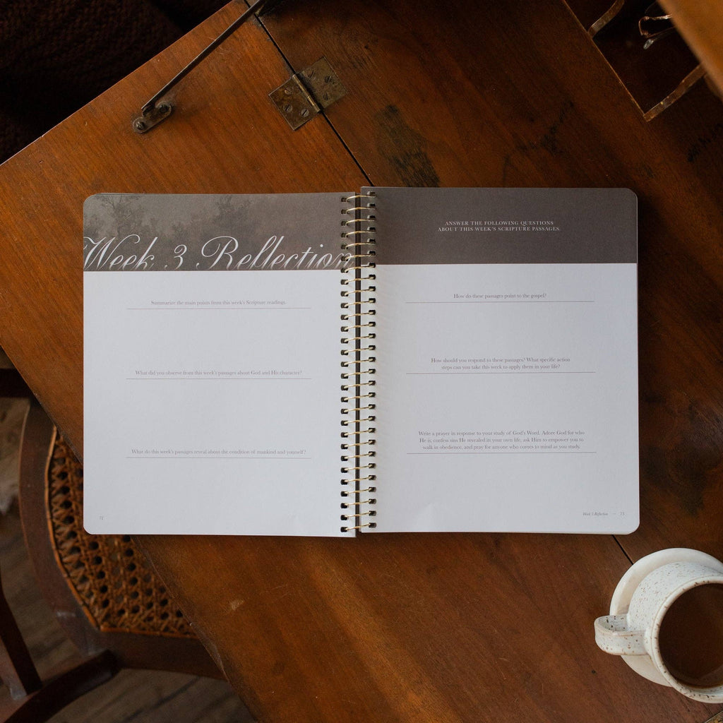 Made for Him: Rest in Christ for Restless Hearts — 6-Week Bible Study
