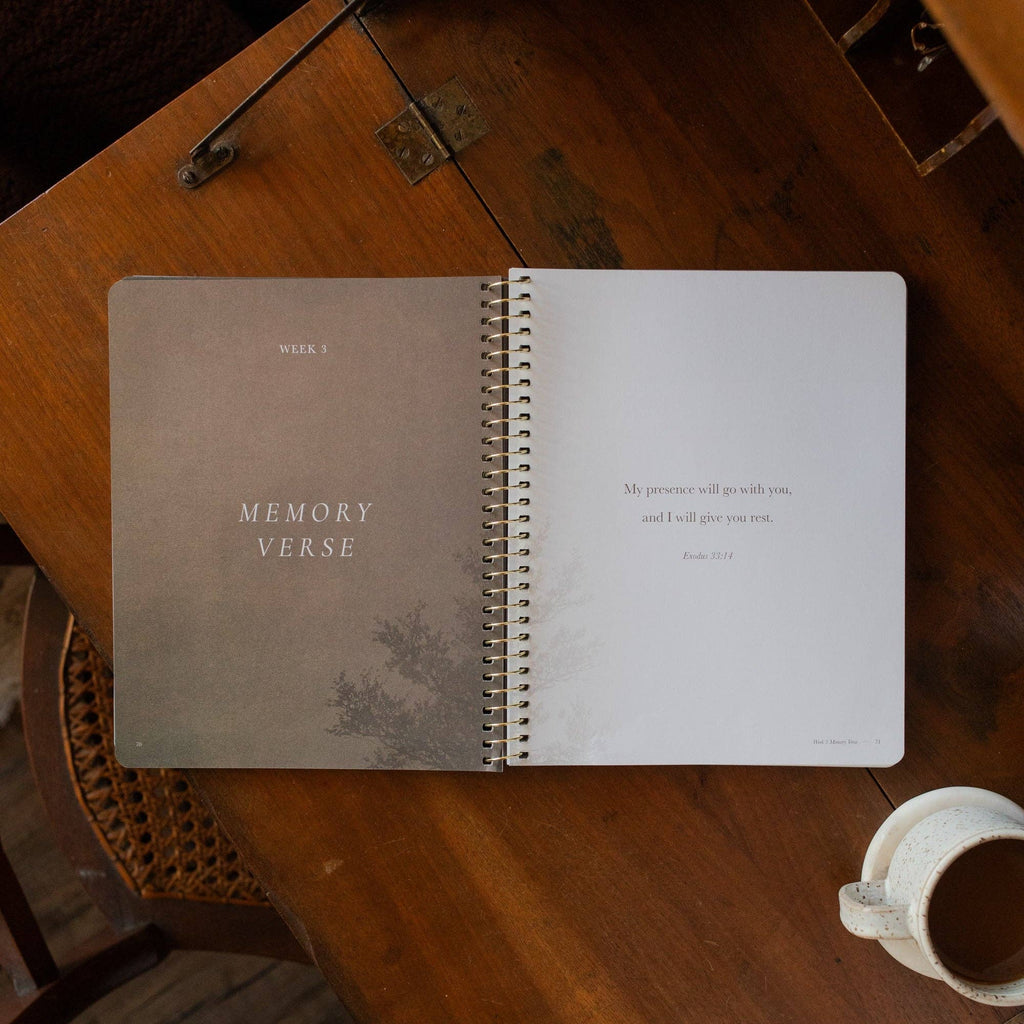 Made for Him: Rest in Christ for Restless Hearts — 6-Week Bible Study