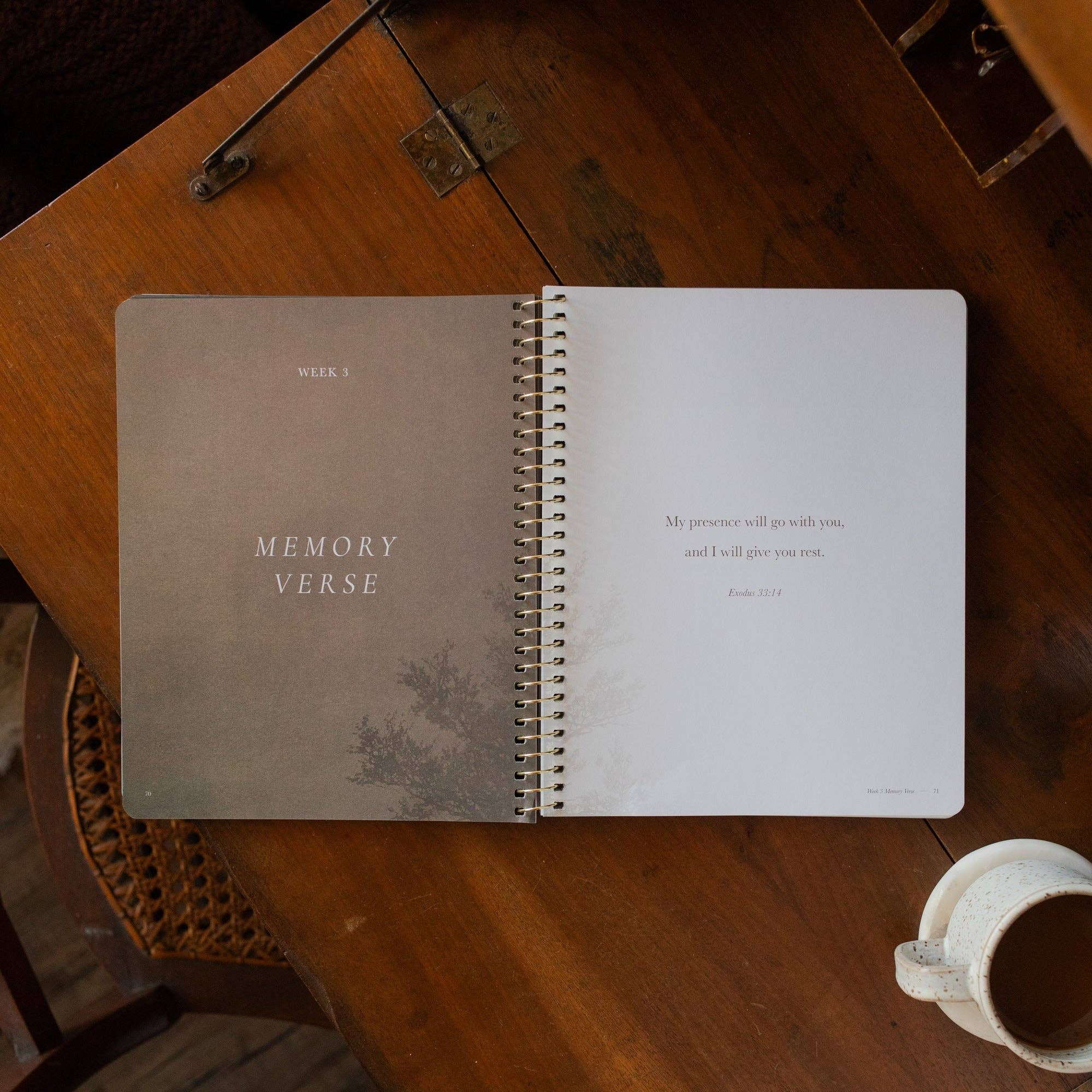 Made for Him: Rest in Christ for Restless Hearts — 6-Week Bible Study