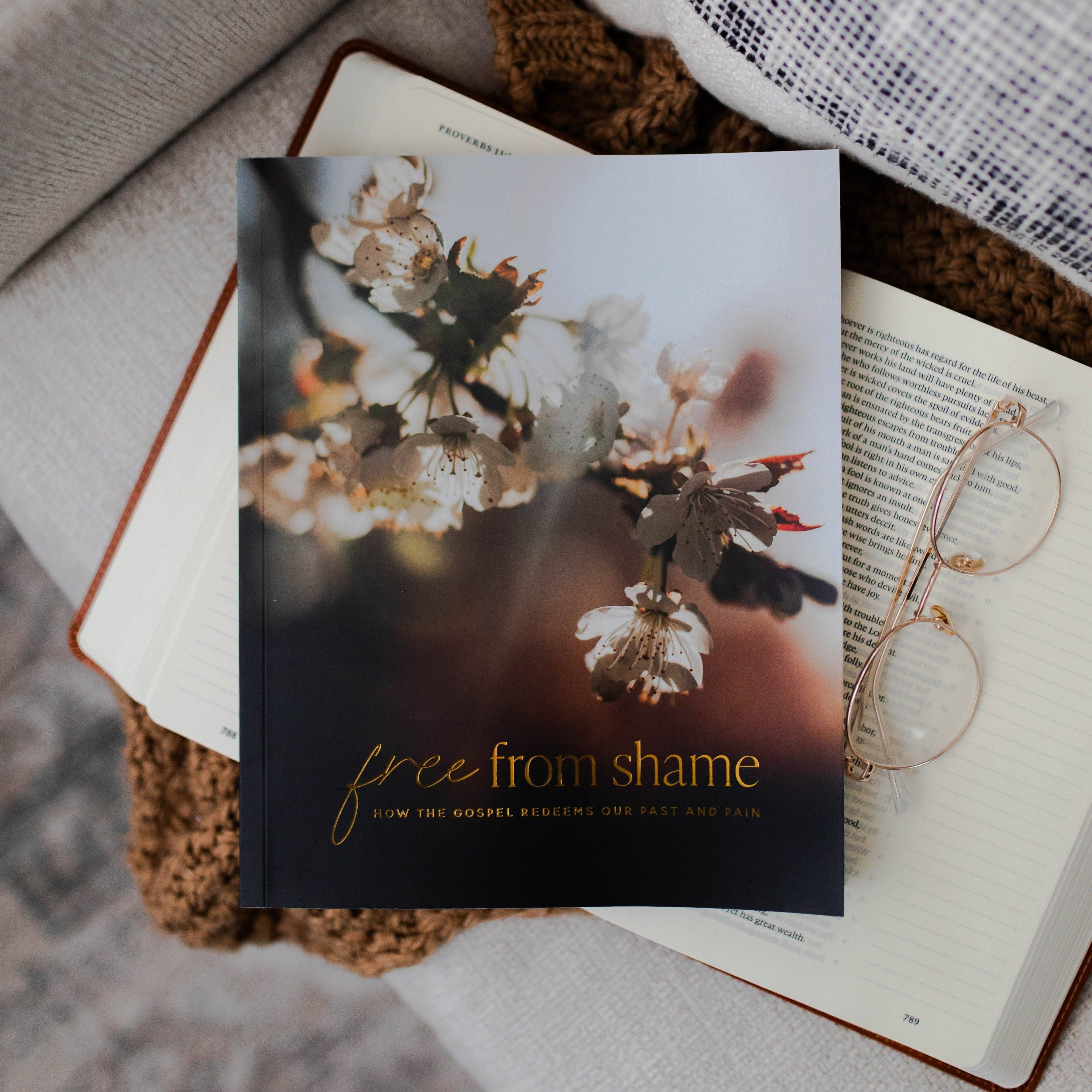 Free From Shame: How the Gospel Redeems Our Past & Pain — 4-Week Bible Study