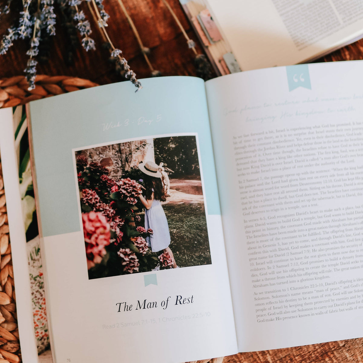 Rest: From Eden to Eternity — 6-Week Bible Study