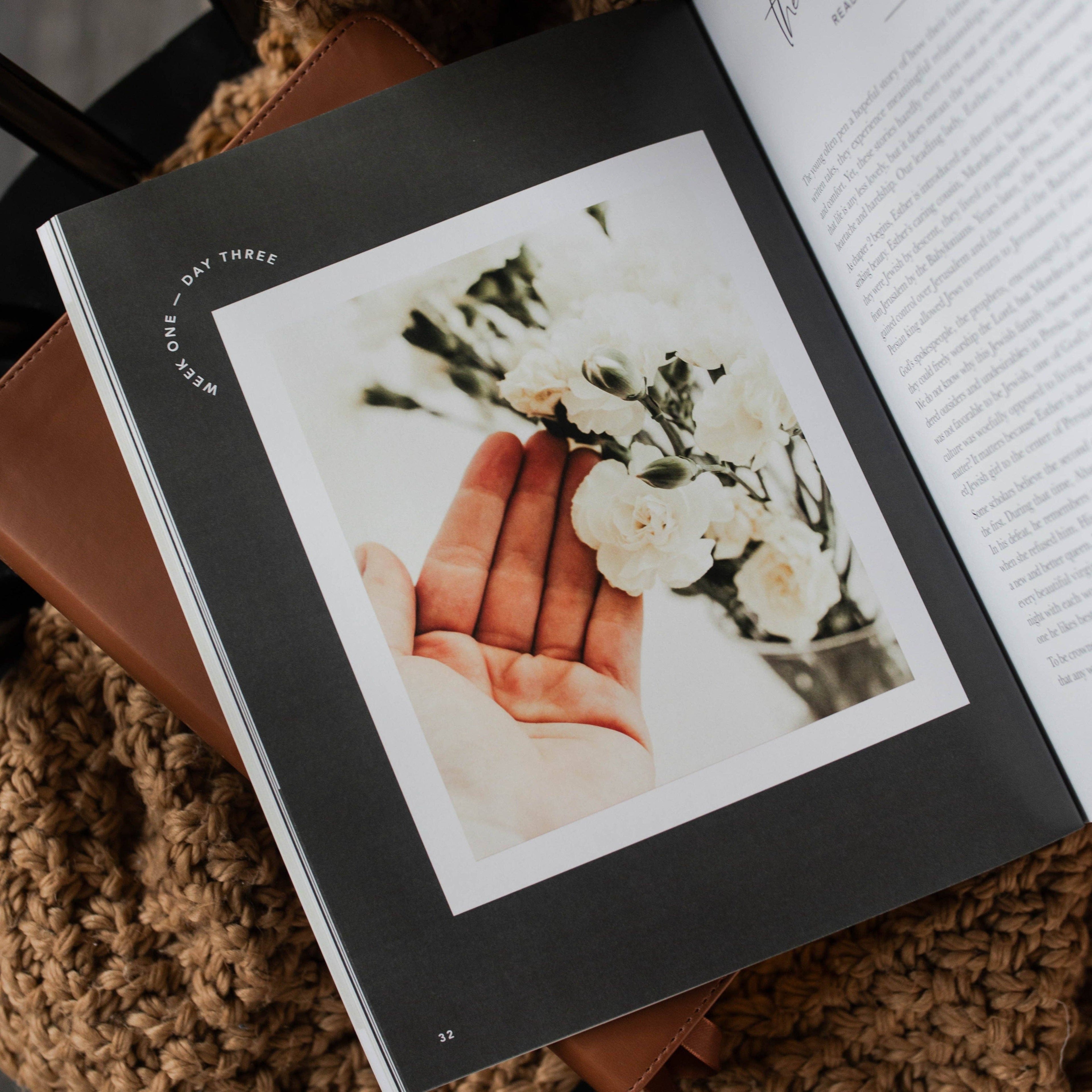 Esther: Seeing God When He Is Silent — 3-Week Bible Study