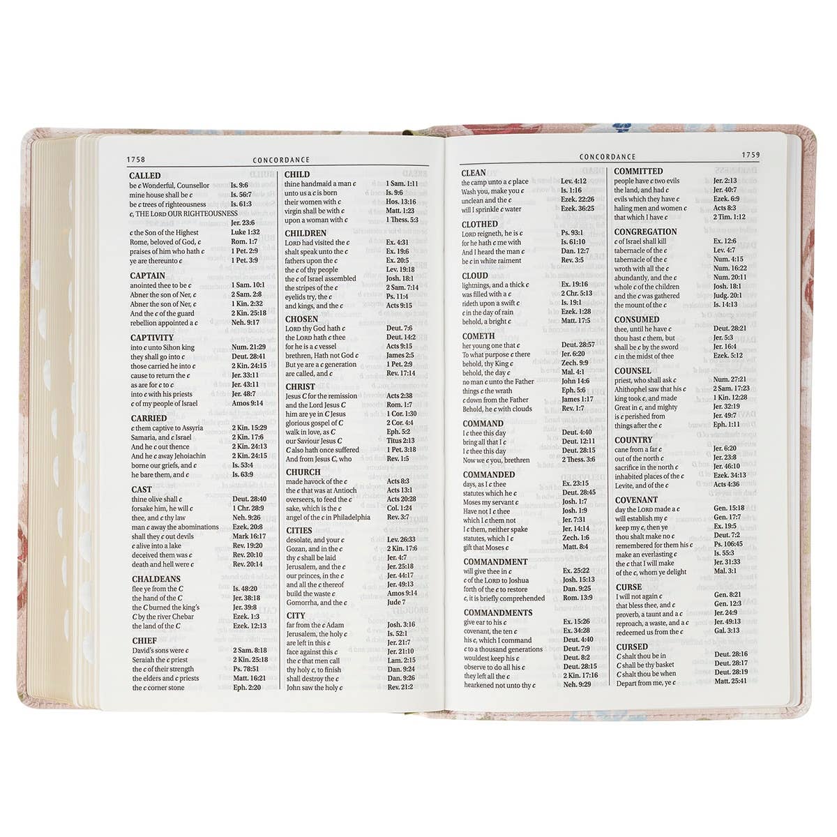 “For I Know the Plans” Pink Floral KJV Giant Print Bible – Jeremiah 29:11
