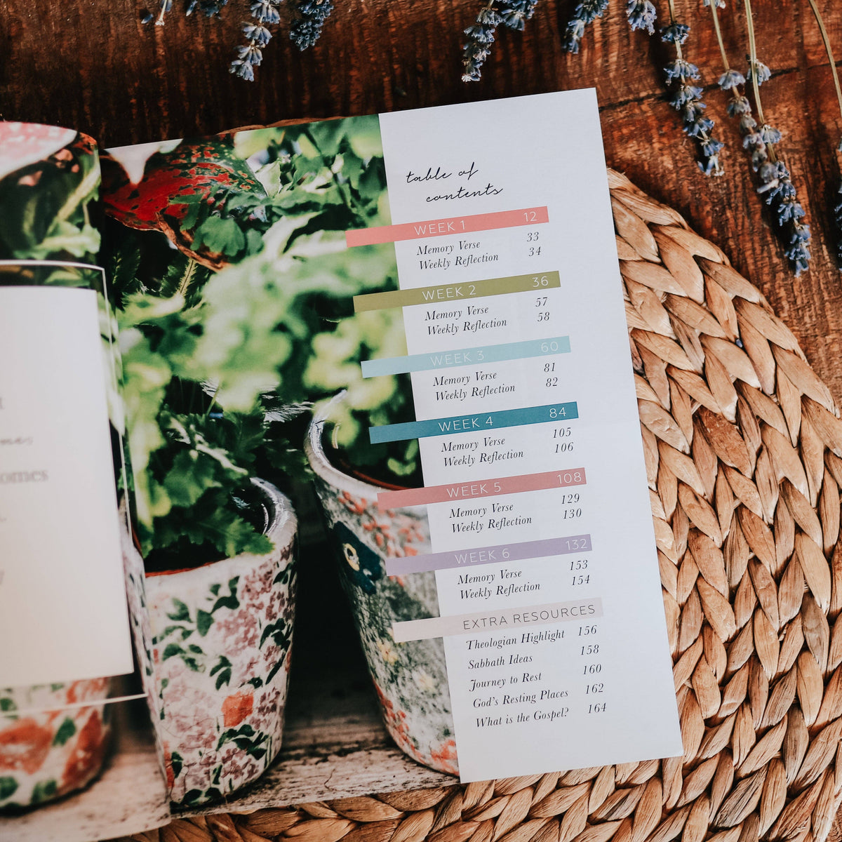 Rest: From Eden to Eternity — 6-Week Bible Study