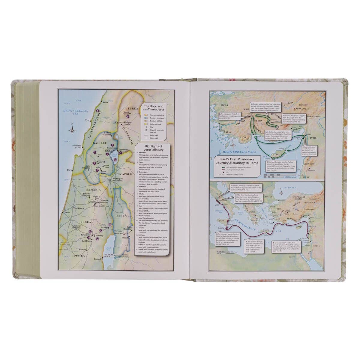 “Nevertheless Not My Will” Sage Green Floral KJV Large Print Note-Taking Bible – Luke 22:42