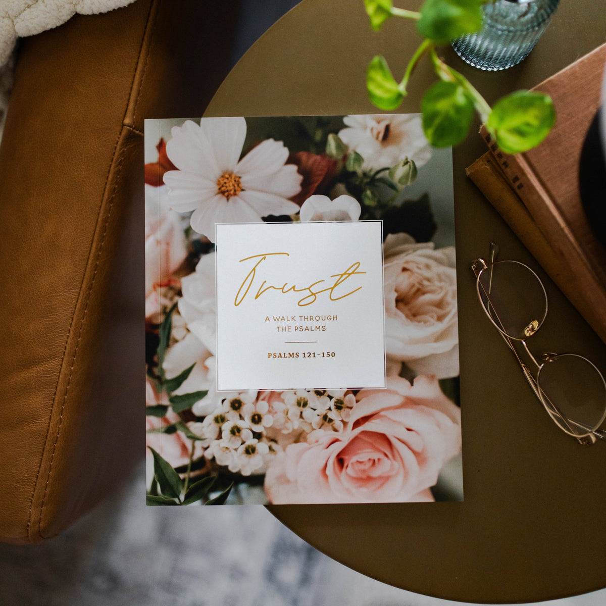 Trust: A Walk Through Psalms 121–150 — 6-Week Bible Study