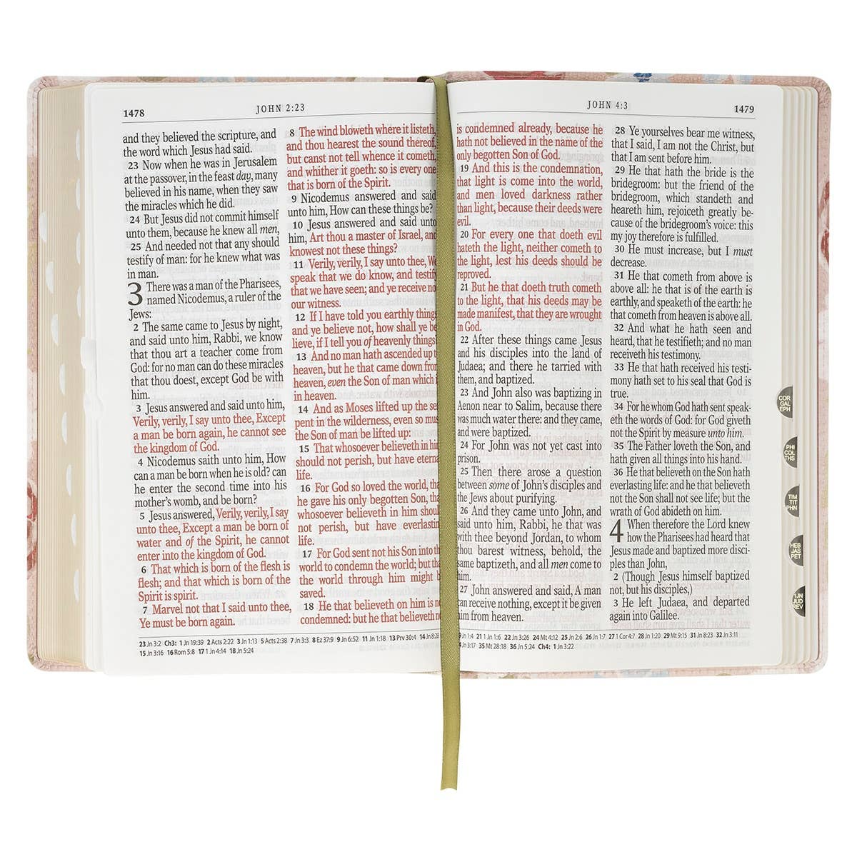 “For I Know the Plans” Pink Floral KJV Giant Print Bible – Jeremiah 29:11