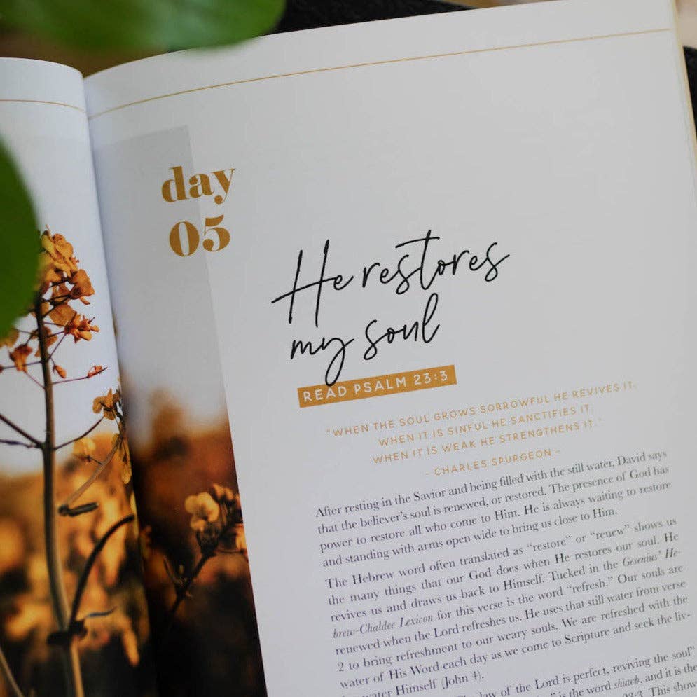 He Leads Me: A Study of Psalm 23 — 2-Week Bible Study
