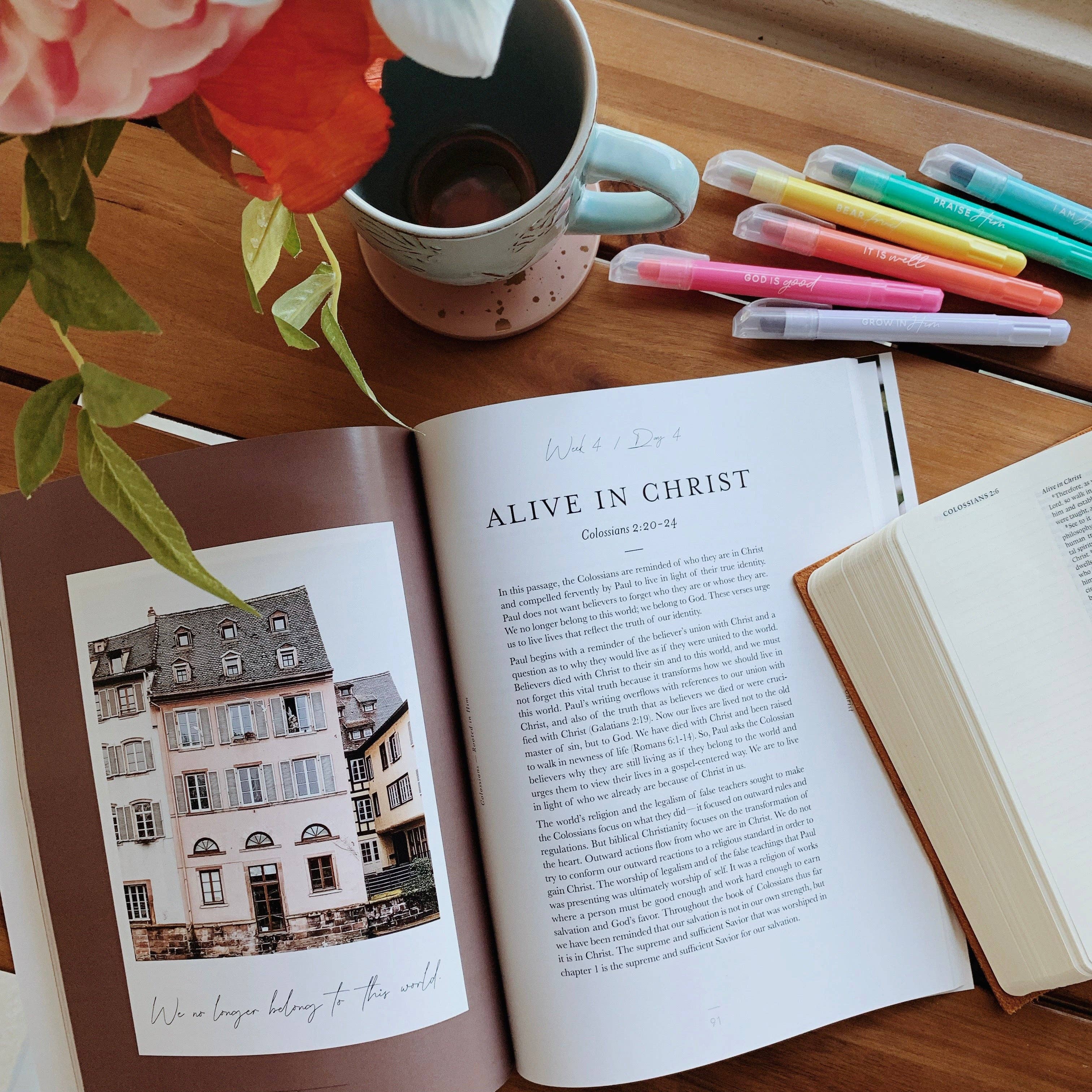 Rooted in Him: A Study of Colossians — 7-Week Bible Study