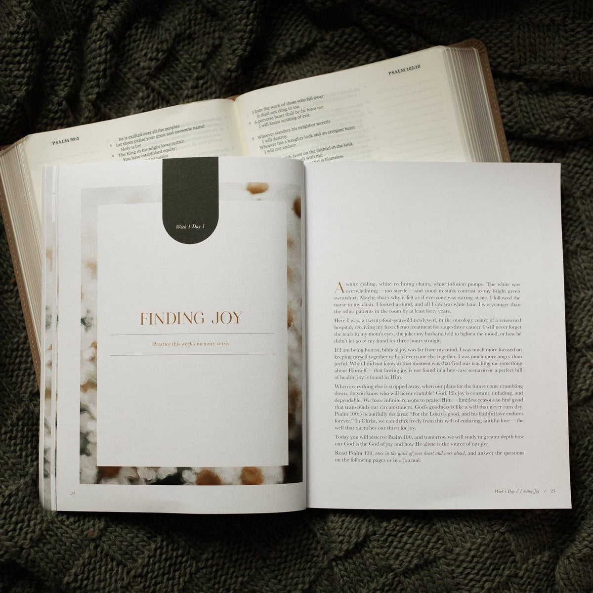 A Joy That Endures — 3-Week Bible Study