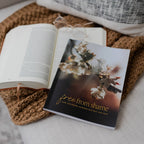 Free From Shame: How the Gospel Redeems Our Past & Pain — 4-Week Bible Study