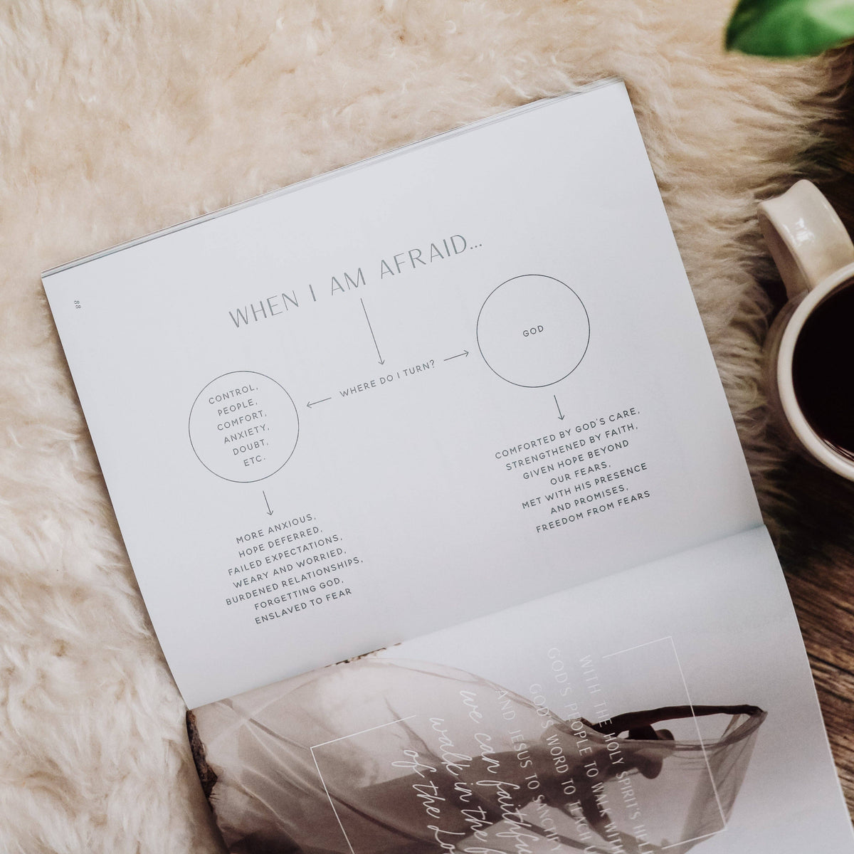 Fear: Finding Peace in God’s Presence — 3-Week Bible Study