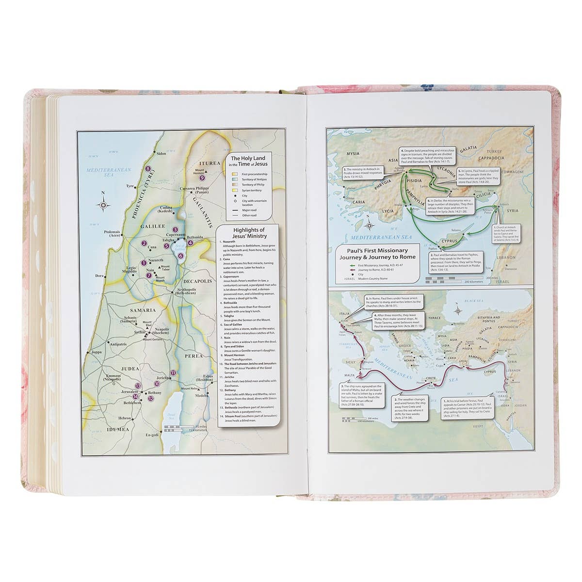 “For I Know the Plans” Pink Floral KJV Giant Print Bible – Jeremiah 29:11