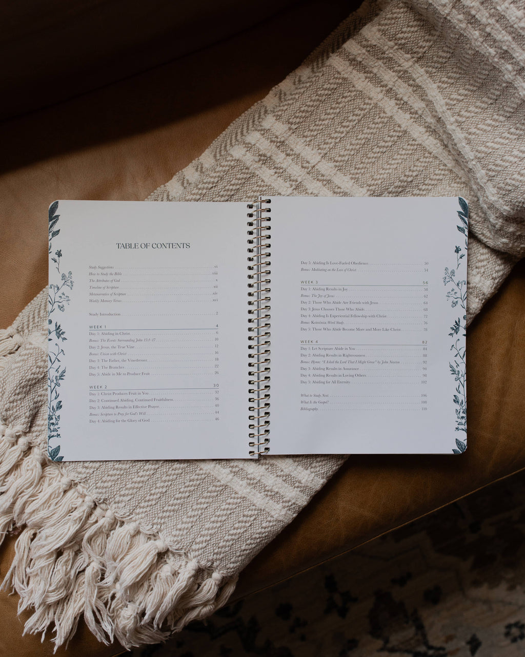 Abide: Growing Closer to Christ Every Day — 4-Week Bible Study