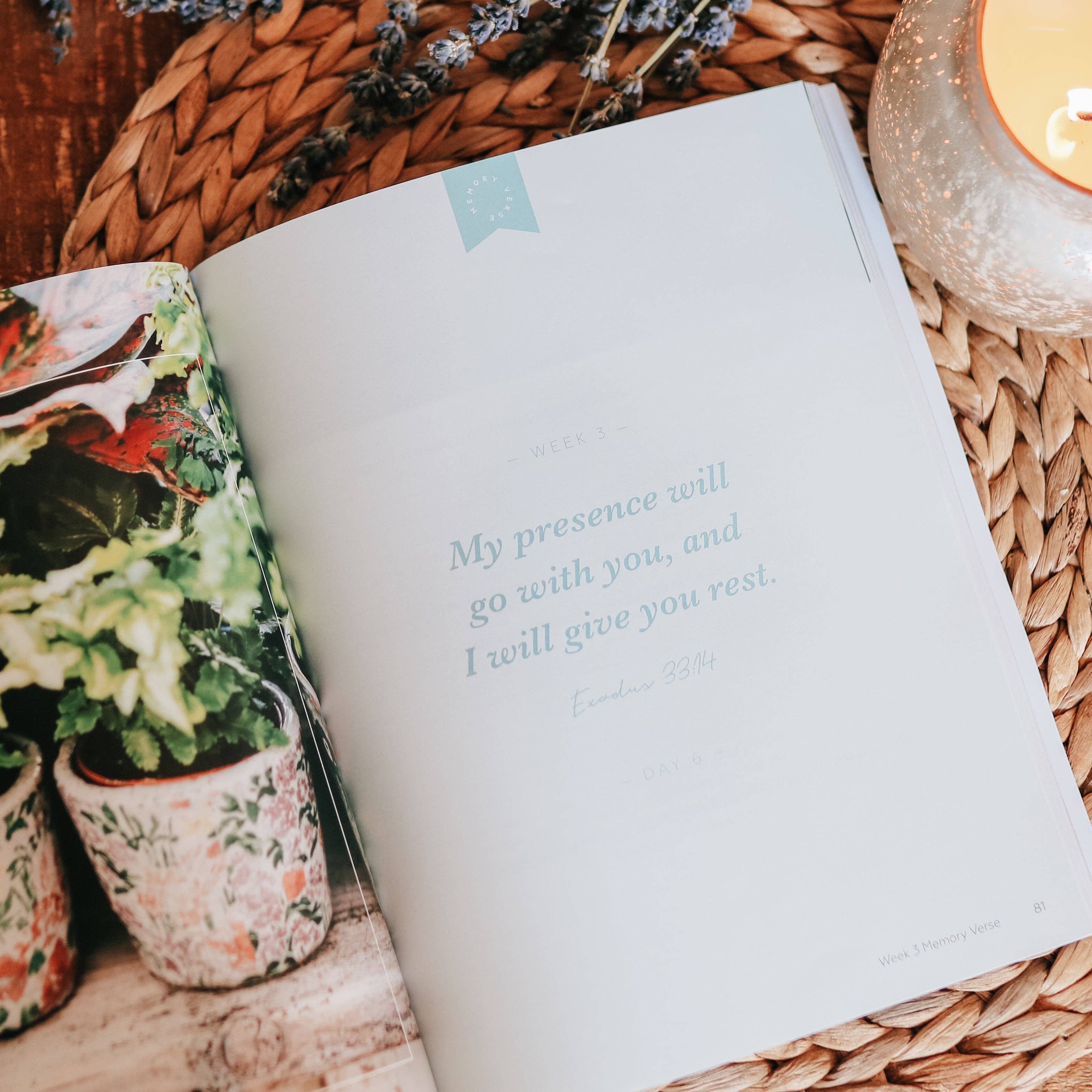 Rest: From Eden to Eternity — 6-Week Bible Study