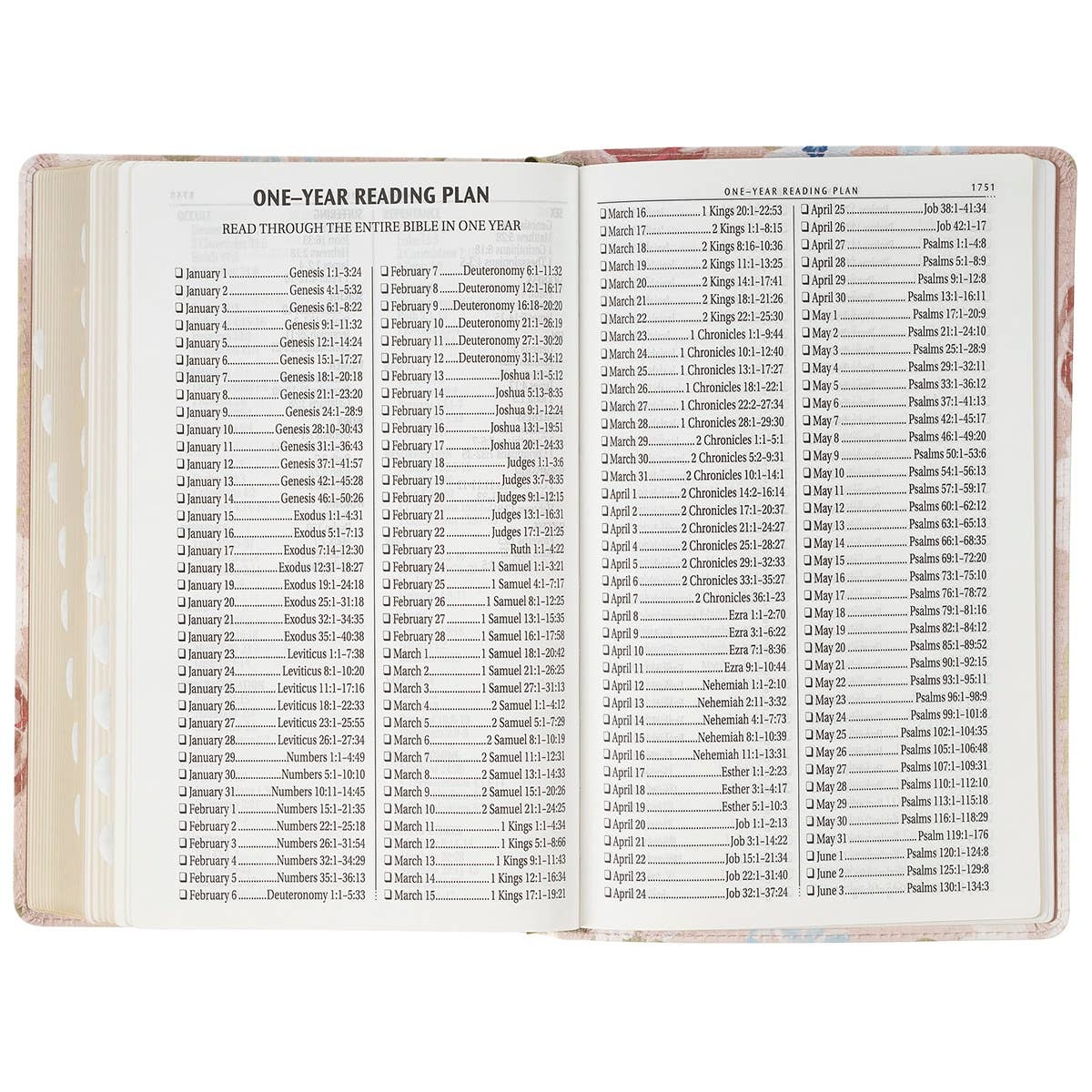 “For I Know the Plans” Pink Floral KJV Giant Print Bible – Jeremiah 29:11