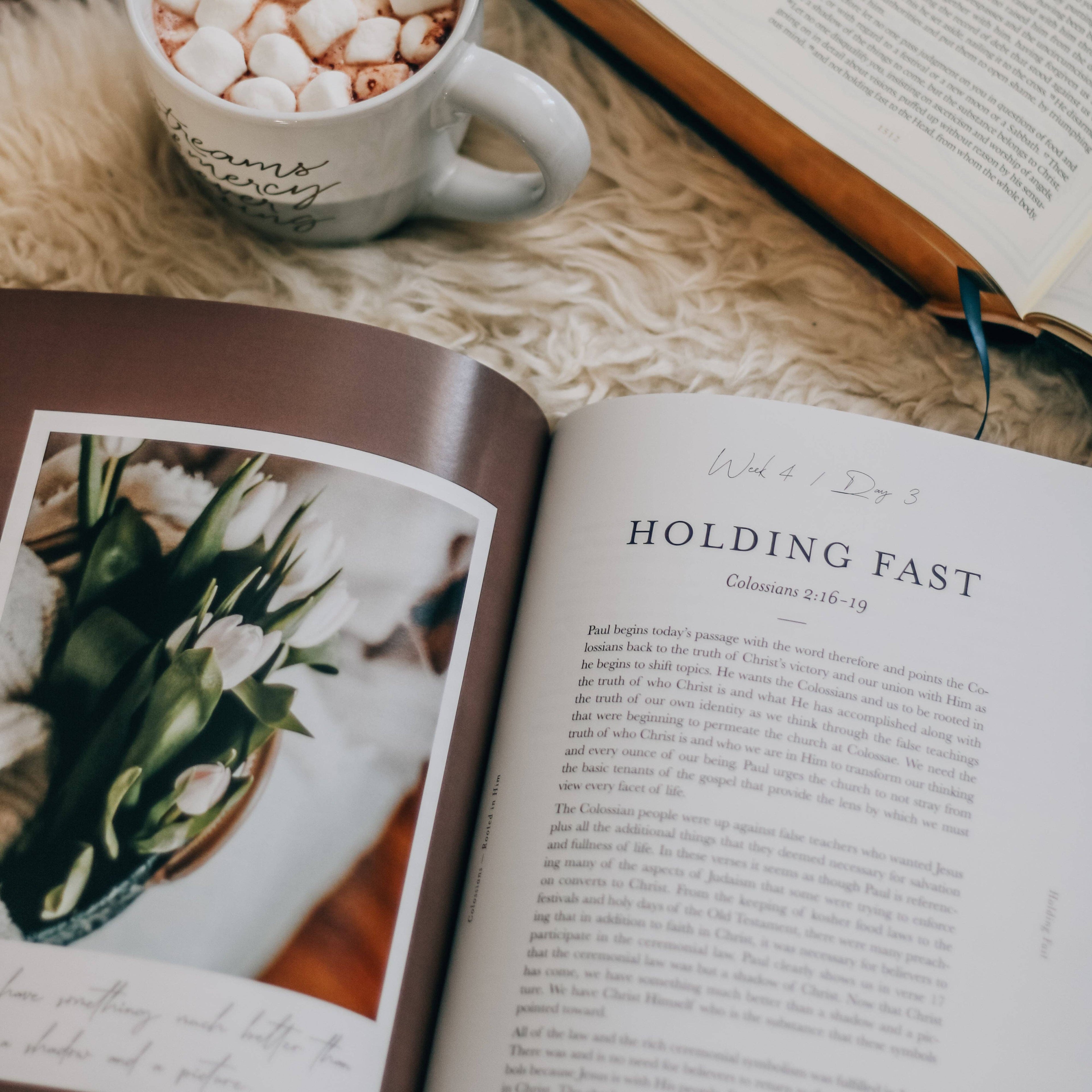 Rooted in Him: A Study of Colossians — 7-Week Bible Study