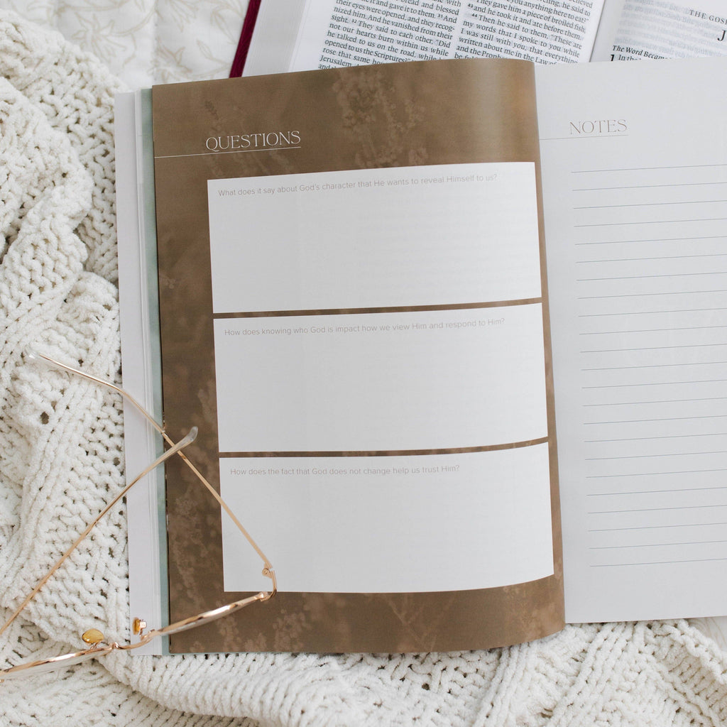 I Am: The Seven “I Am” Statements of Jesus — 4-Week Bible Study