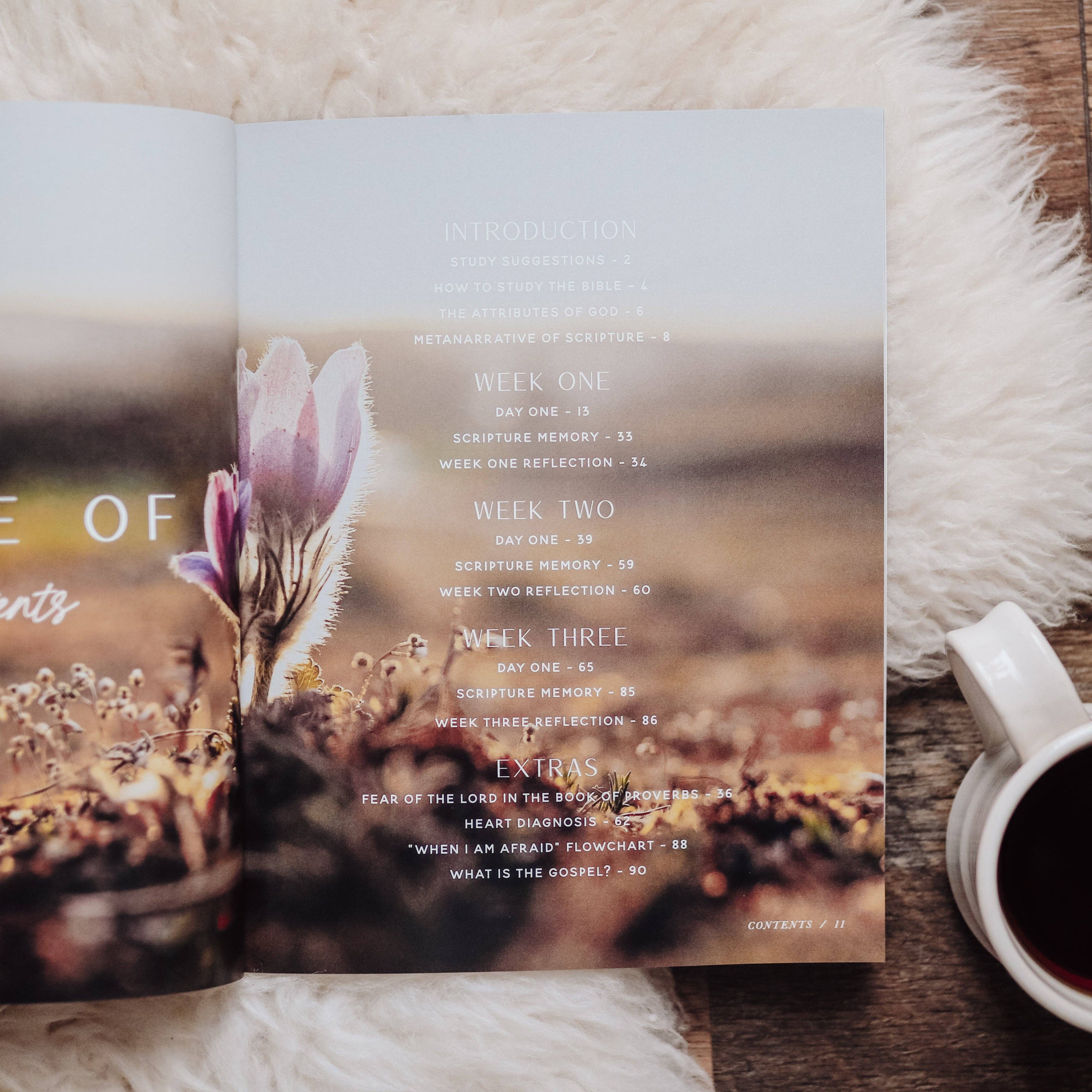 Fear: Finding Peace in God’s Presence — 3-Week Bible Study