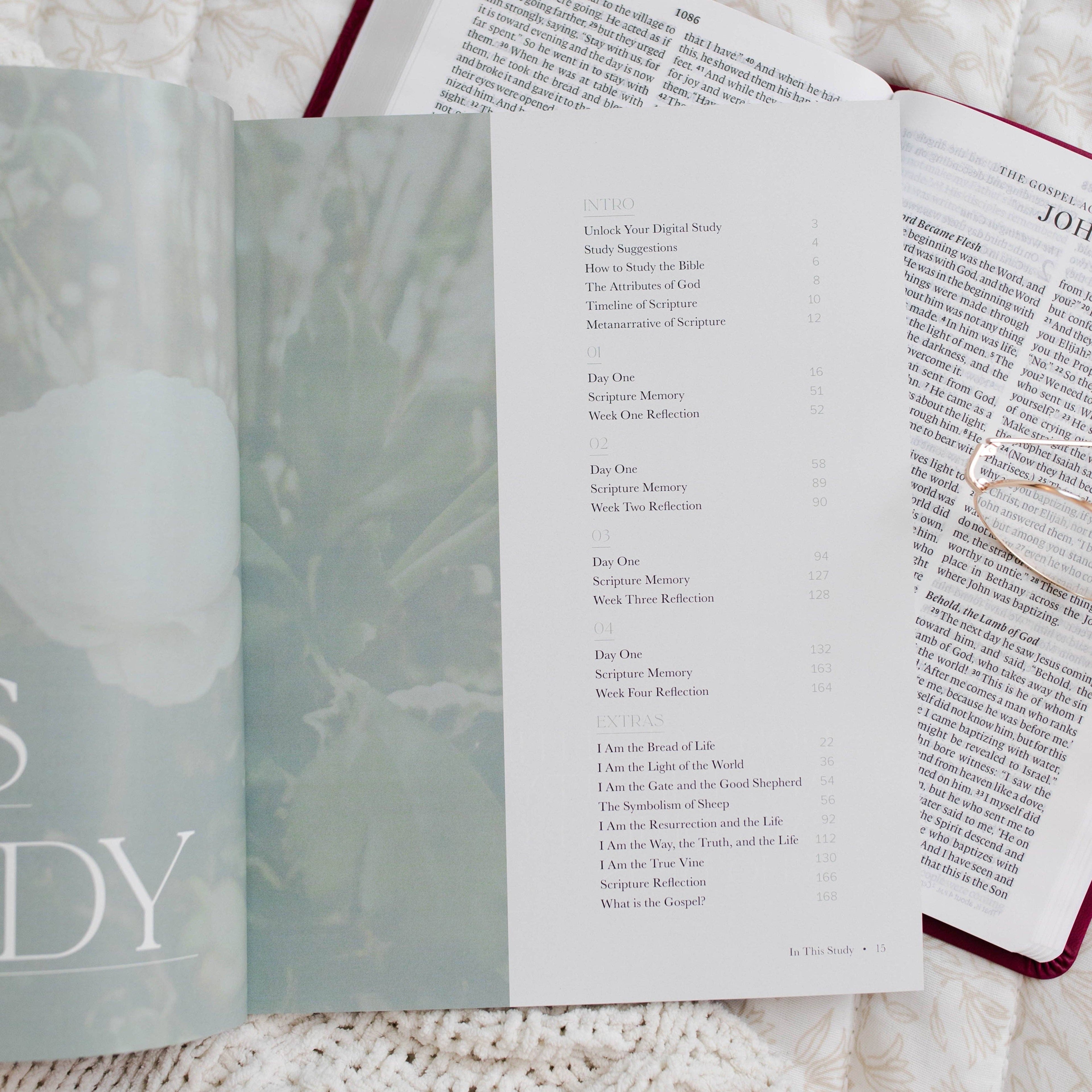 I Am: The Seven “I Am” Statements of Jesus — 4-Week Bible Study