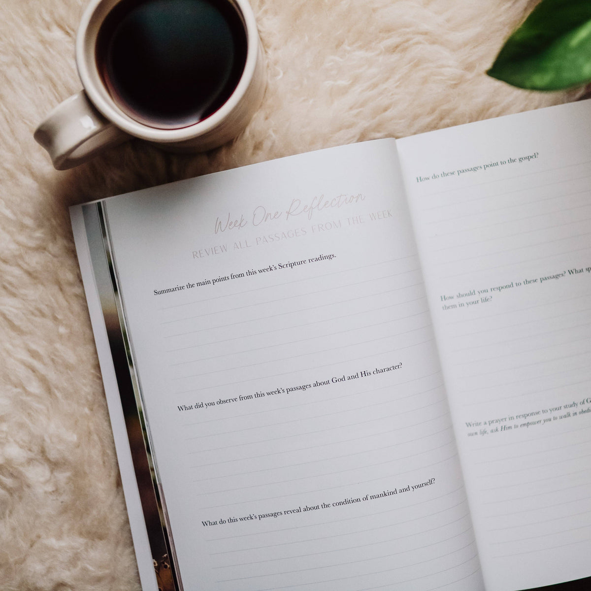 Fear: Finding Peace in God’s Presence — 3-Week Bible Study