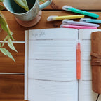 Rooted in Him: A Study of Colossians — 7-Week Bible Study