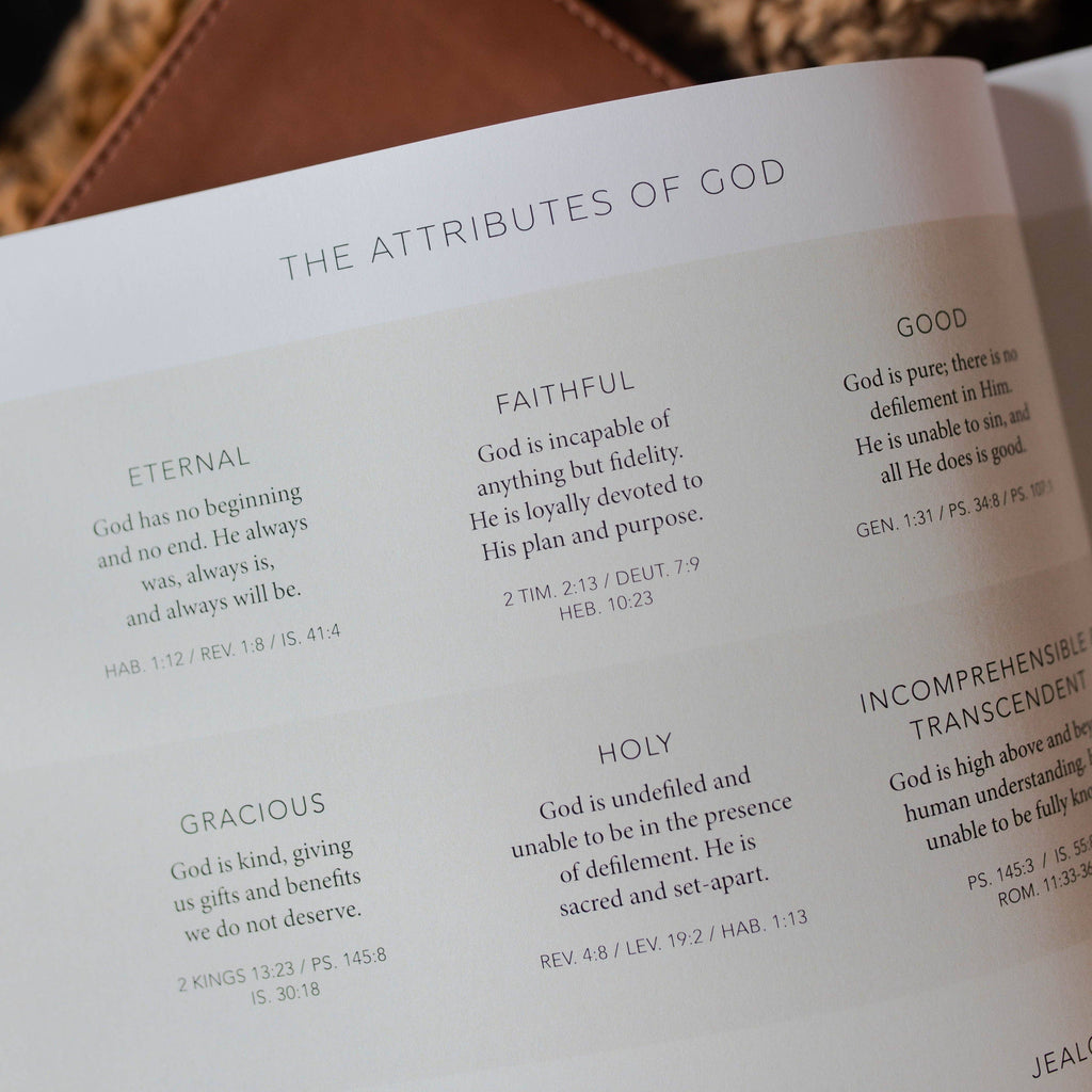 Esther: Seeing God When He Is Silent — 3-Week Bible Study